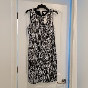 J Crew Basketweave Leopard Sheath Dress NWT. Navy